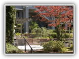 Formal_Terraced_Garden_02